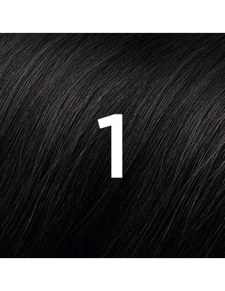 Phytocolor Coloration Permanente 1 Noir Phytocolor Coloration Permanente 1 Noir