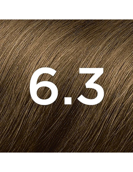 PHYTO COLOR 6.3 BLOND FONCE DORE PHYTO COLOR 6.3 BLOND FONCE DORE