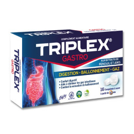 Triplex GASTRO Digestion - Ballonnement - Gaz