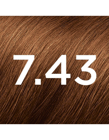 Phyto PhytoColor N° 7.43 Blond Cuivré Doré