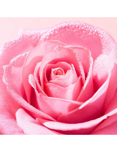 Nuxe Brume Tonique Fraîche, Very Rose 200ml