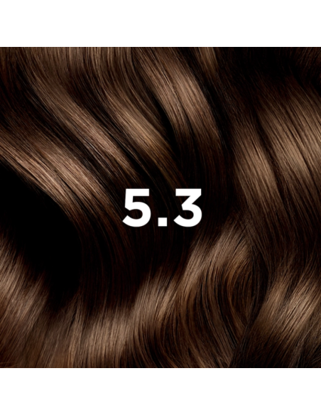 PHYTO COLOR  5.3 Câtin clair doré